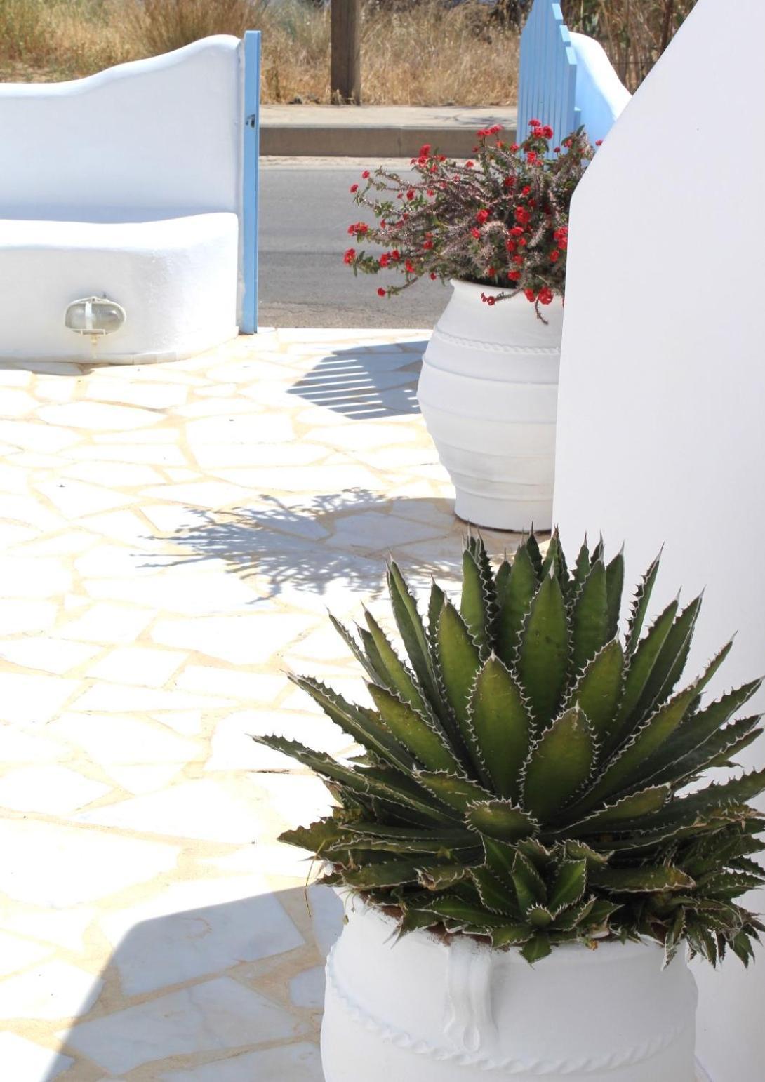 Blue Sea Villa & Apartments Μακρύγιαλος Εξωτερικό φωτογραφία