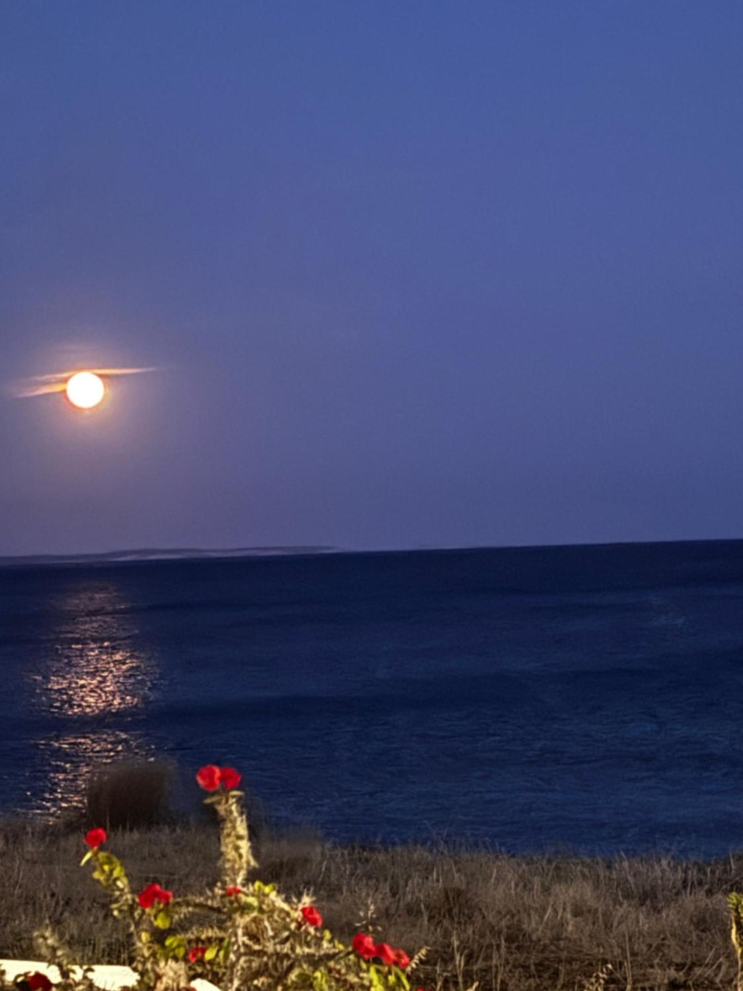 Blue Sea Villa & Apartments Μακρύγιαλος Εξωτερικό φωτογραφία